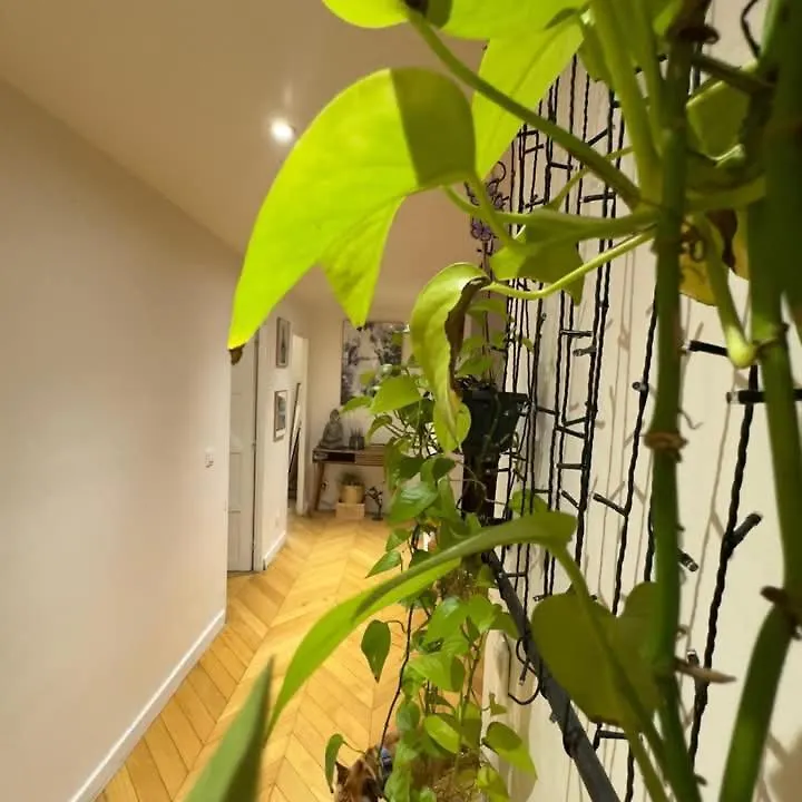 Apartment Magnifique Appartement Proche Du Centre Paris